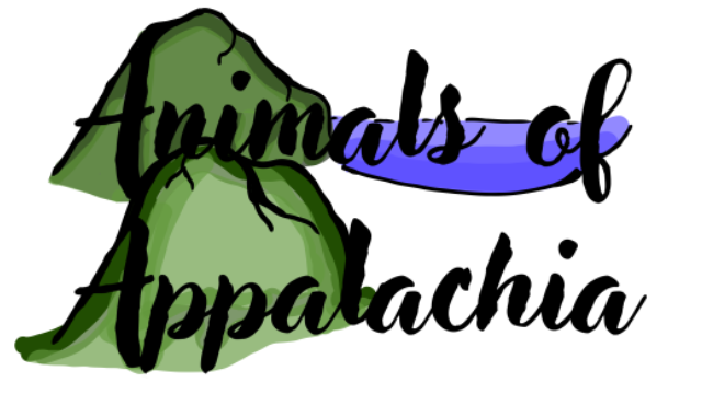 Animals of Appalachia