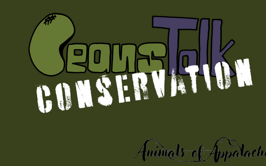 Conservation: A Conversation